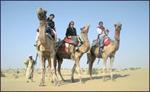 Camel Safari Jaipur